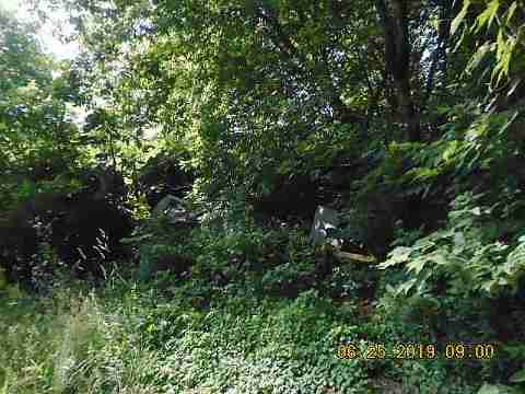 3011 Virginia Park (10)_m.jpg